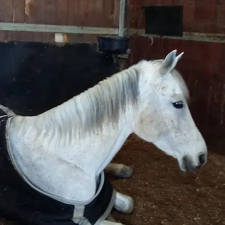 La Scuderia Hotel Sarzana